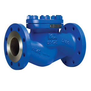 Check Valves Flanged Type