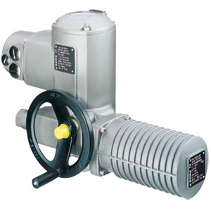 Quarter-Turn Electric Actuators