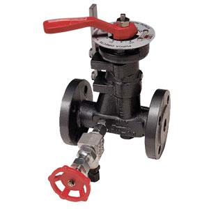 Continuous Blowdown Valves