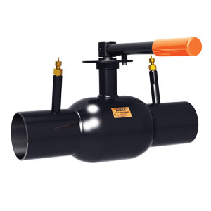 Control Ball Valves