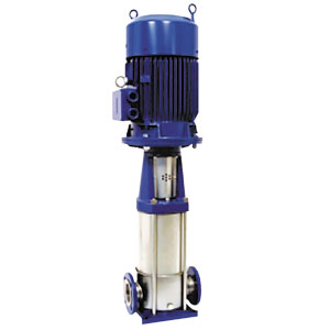 Vertical Pumps with Cast Iron  Pump Foot and Top Bracket