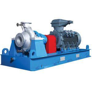 Magnetic Coupling Version (API 685)